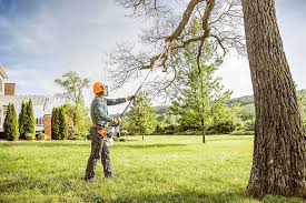 Best Residential Tree Removal  in East Alton, IL